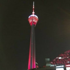 Alex Aleksandrovich, Воронеж