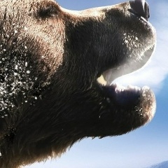 Андрей Ревунов, 19.01.1989, Пенза