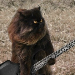 Андрей , 19.12, Иваново