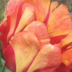 Мария Теребова, 22.08, Санкт-Петербург