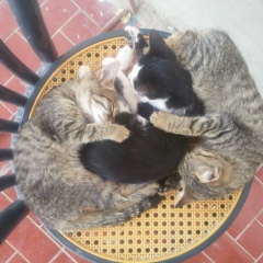 Саша Ганиев, 21.06.1994, Кунград