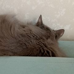 Гульназ Нургалеева, 05.12, Казань