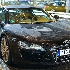 Vasilisa Vasilyeva, Дмитров