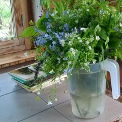 Екатерина Сергеевна, 09.07, Москва