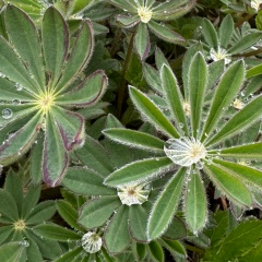 Наталья Ясницкая, 04.07, Санкт-Петербург