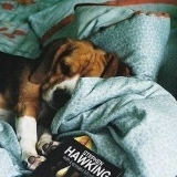 Нина Королева, 09.04, Москва