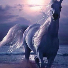 Алибек Бодонов