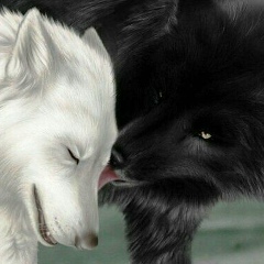 Шайырбек Калбаев, 05.05.1992, Алматы