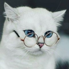 Женя Ботанова, 16.08.1998, Москва