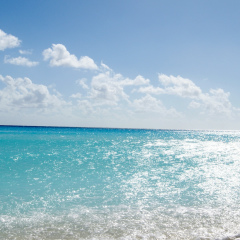 Анеля Никифорова, Алматы