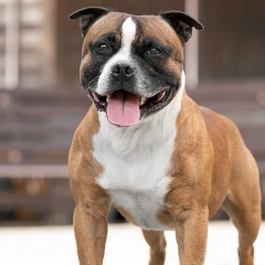 Таня Пяндярова, 23.06, Ростов-на-Дону