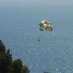 Юлия Соколова