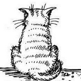 Михаил Козак