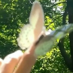 Татьяна Таня, 13.11, Санкт-Петербург