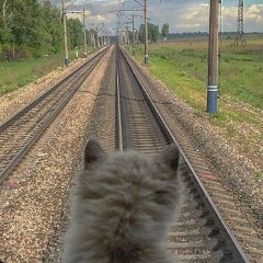 Николай Моисеев, Ангарск