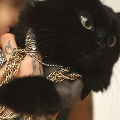 Ирина Гребешкова, 21.01, Севастополь