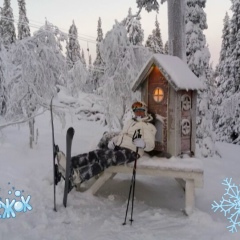 Екатерина Цветкова, 08.12.1965, Санкт-Петербург