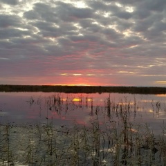 Вектор Ше, 04.12, Иркутский