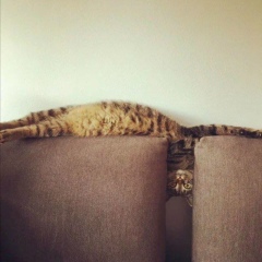 Эльвира Куатова, 29.12.1989, Астана