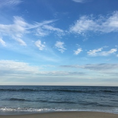 Ирода Джураева, 07.05, New York City