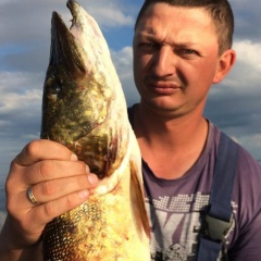 Дмитрий Александров, 21.08.1985, Санкт-Петербург