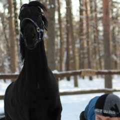 Алексей Евстигнеев, 14.11, Москва