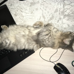 Александр Кудеров, 23.02.1978, Бугуруслан