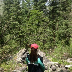 Гульбану Шаймерденова, Шымкент