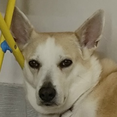 Александр Графов, 22.06, Дубна