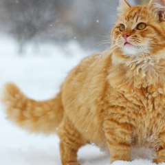 Евгений Ибрагимов, 09.01, Владивосток