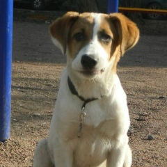 Маргарита Почтарева, 09.12, Санкт-Петербург