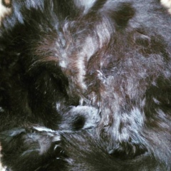 Илья Чистов, 01.03.1986, Москва