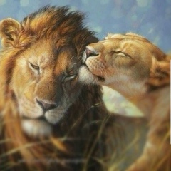 Алёна Дружина, Благовещенск