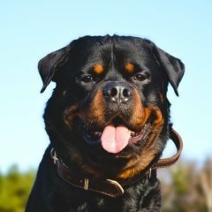 Марина Суменкова, 25.08, Москва