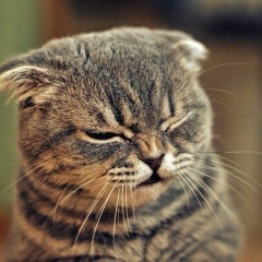 Катюша Матвеева, 16.10.1987, Москва