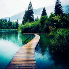 Yellow Bellow, 01.03.1998