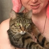 Дмитрий Привалов, Barcelona