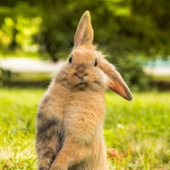 Виктория Яницкая, 20.02