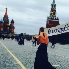 Умар Курчалоевский, 25.05, Курчалой