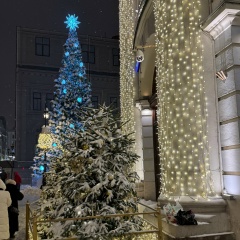 Дмитрий Картавцев, Москва