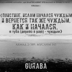 Сахаб Асхабов, 08.08.1980, Douglas