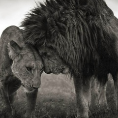 Ислам Карданов, 12.07.1994, Нальчик