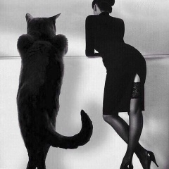 Александр Пономарёв, 26.01, Дрожжино