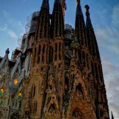 Ксюша Donskaya, 17.12.1990, North Aurora