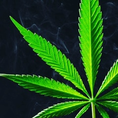 Віта Лозецька, 23.09, Прилипчье