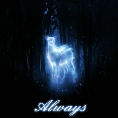 Анастасія Войчук, 08.02, Ивано-Франковск