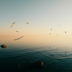 Алевтина Гусева, 21.07, Санкт-Петербург