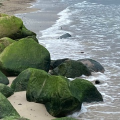 Юлия Рочева, Ухта