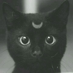 Антон Кузнецов, 20.12, Санкт-Петербург