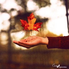 Віта Максимюк, 02.08.1984, Черновцы